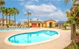 10410 Orchid Way - Photo 60