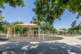 450 Alluvial Avenue - Photo 66