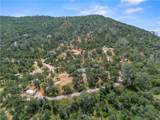 29290 Larkspur Road - Photo 35