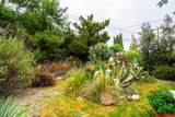 23861 Gilmore Street - Photo 19