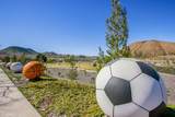 32367 Whispering Willow Drive - Photo 56