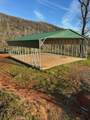 3109 Wild Dove Lane - Photo 9