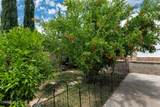 6211 Anastasia Street - Photo 40