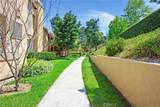 19431 Rue De Valore - Photo 9