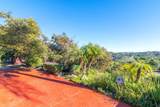 3322 Canonita Drive - Photo 16