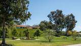 28116 Calle Casal - Photo 46