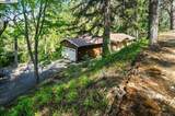 11110 Monan St - Photo 3
