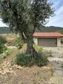 28450 6th Street - Photo 12