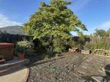 2884 Sage View Dr - Photo 36