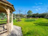 7314 Via Laguna - Photo 30
