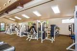 3308 Lake Albano Circle - Photo 40