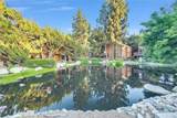 10636 Shoreline Drive - Photo 2