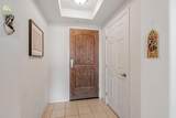 49002 Cinnamon Fern - Photo 7
