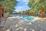 3641 Clayton Rd - Photo 32