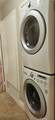 21208 Camelia - Photo 6