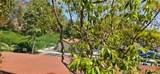 21208 Camelia - Photo 8