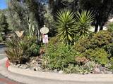 15646 Davis Cup Ln - Photo 47
