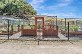 5441 Cribari Green - Photo 44