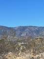0 Pine Tree Road - Photo 3