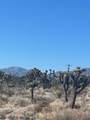 0 Pine Tree Road - Photo 4