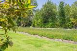 163 Hacienda Carmel - Photo 34