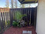 2001 Olivera Rd - Photo 15