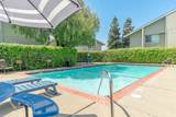 373 Caliente Cir - Photo 19