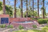 1616 Circa Del Lago - Photo 19