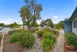 295 Cerro Romauldo Avenue - Photo 31