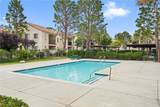 2554 Olive Drive - Photo 36