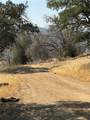 38914 Road 810 - Photo 40