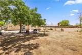 38614 Puerta Avenue - Photo 17