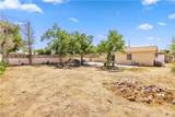 38614 Puerta Avenue - Photo 18