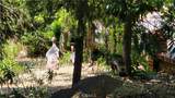 0 Adrian Drive - Photo 19