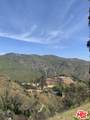 23309 Paloma Blanca Drive - Photo 6