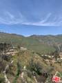 23309 Paloma Blanca Drive - Photo 7