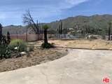 23309 Paloma Blanca Drive - Photo 9