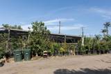 3129 Reche Road - Photo 5