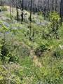 180 Mirage Lake Road - Photo 10