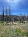 180 Mirage Lake Road - Photo 7