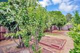 520 Celia St - Photo 34
