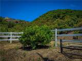 45100 La Cruz Drive - Photo 10