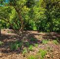 45100 La Cruz Drive - Photo 28