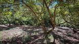45100 La Cruz Drive - Photo 44