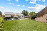 25026 Sutter Drive - Photo 30