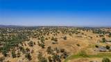 35095 Rough Rider Way - Photo 22