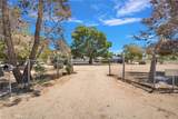 10325 Sheep Creek Road - Photo 4