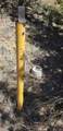 0 Rolandee Street - Photo 11