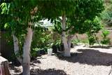 31811 Whispering Palms Trail - Photo 12