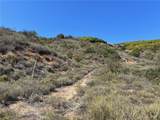 16 Pampas Road - Photo 5